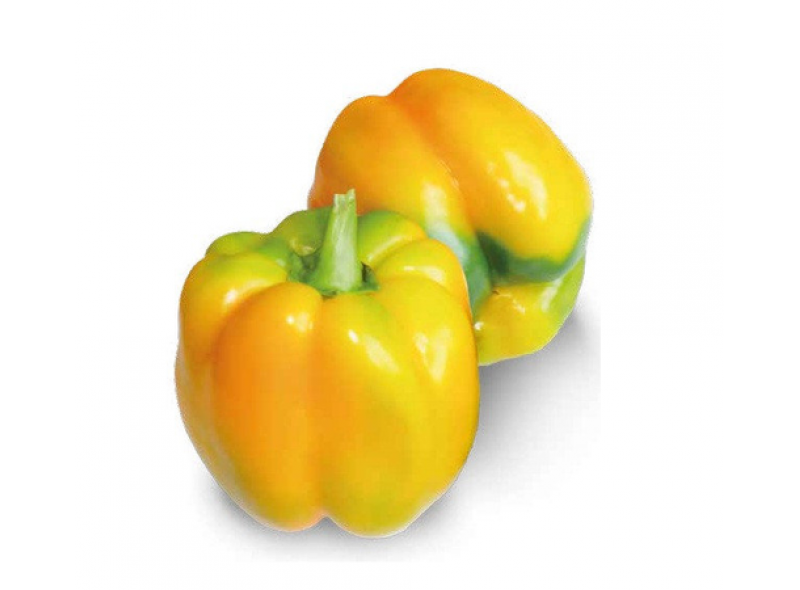 Семена перца сладкого Виват F1 (среднеранний) кубический (500 нас.) Lark Seeds